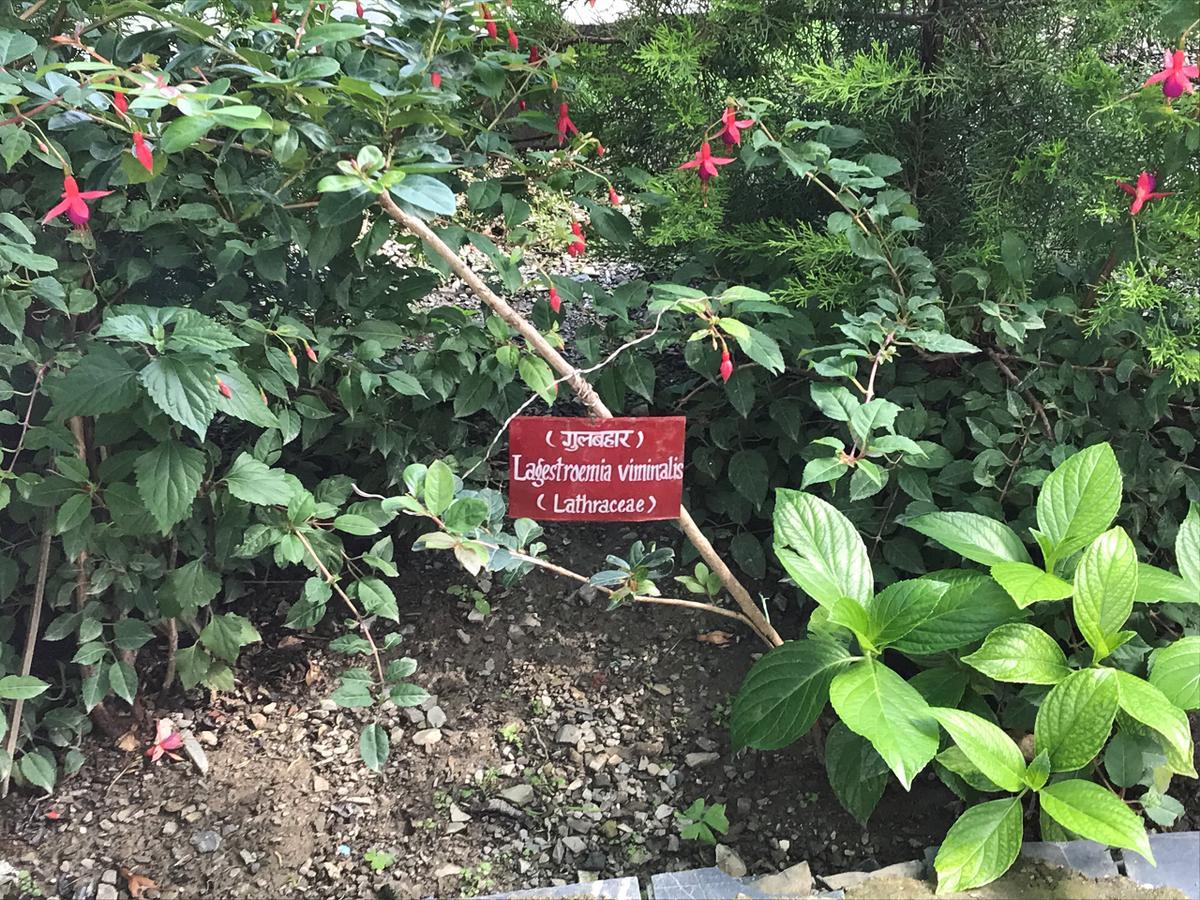 Welcomheritage Ashdale Nainital Buitenkant foto